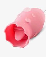 20 Speed Licker, Sucker And Vaginal Bullet Vibrator With USB - [Adultskart.com]