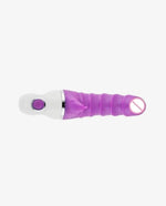 Multi Speed Waterproof Vibrator